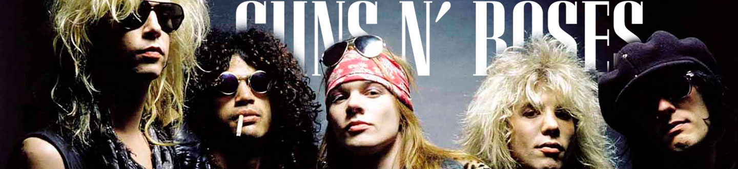 Banner de Guns and Roses