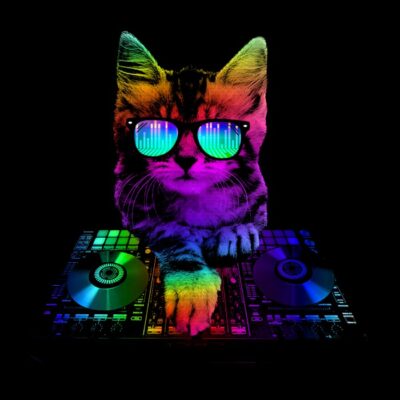 DJ kitten
