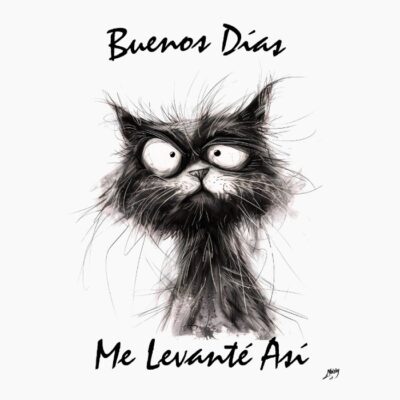 Buenos días, me levanté así. Gato desaliñado en sketch blanco y negro.