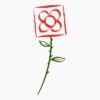 Rosa de barcelona