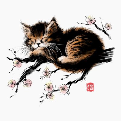 Sleeping cat