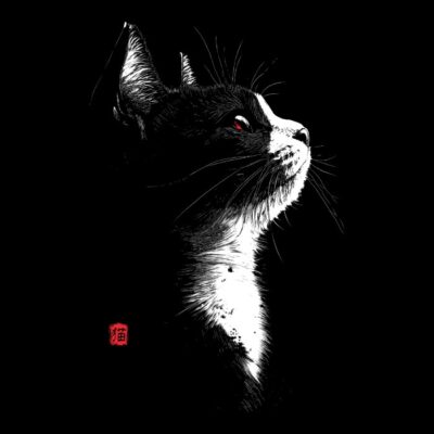 Attentive Cat 2