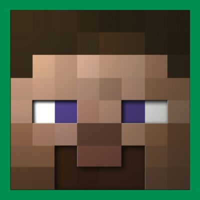 Cara de Steve - Minecraft