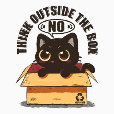 Kitty in a box