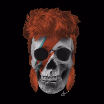Stardust Skull