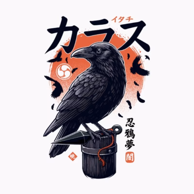 Dark Ninja Raven