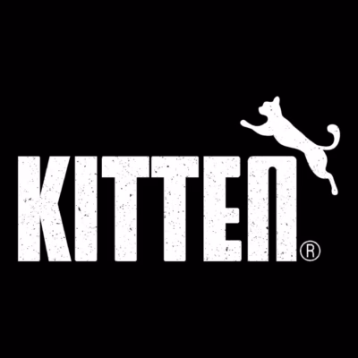 Kitten