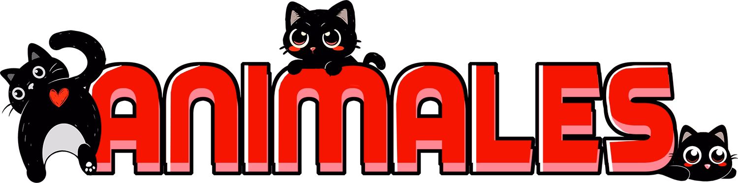 Sergio - %product_tags%