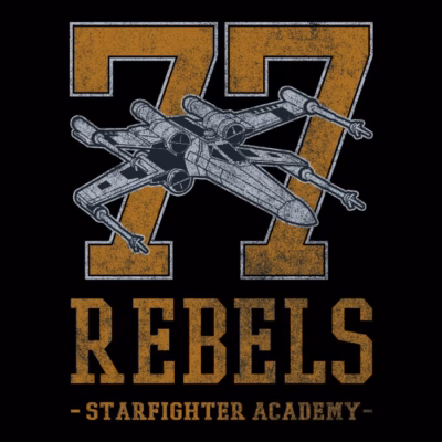 starfighter academy w