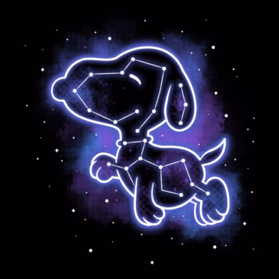 beagle constellation w