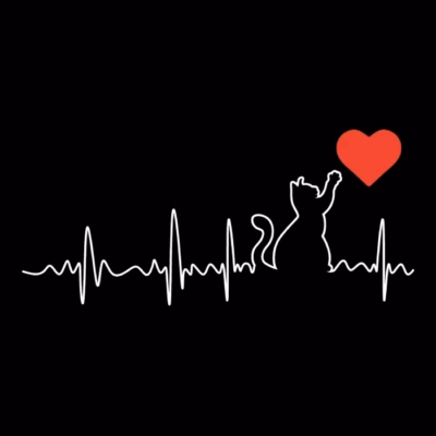 Cat Heartbeats