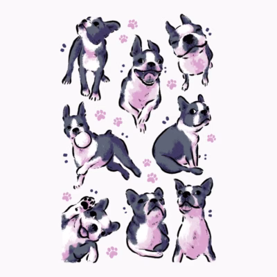 Boston Terrier Love White