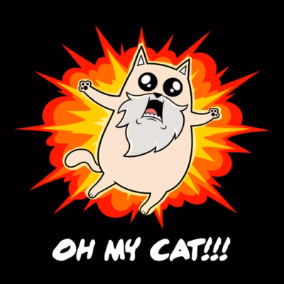 Oh my cat