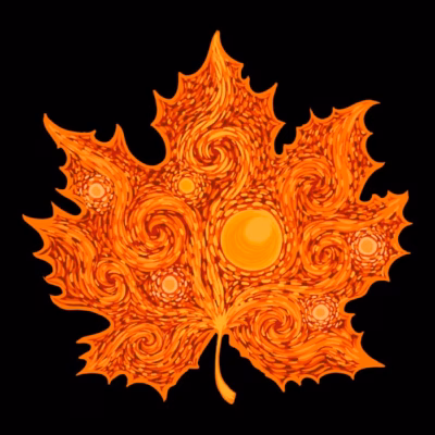 Autumn starry night